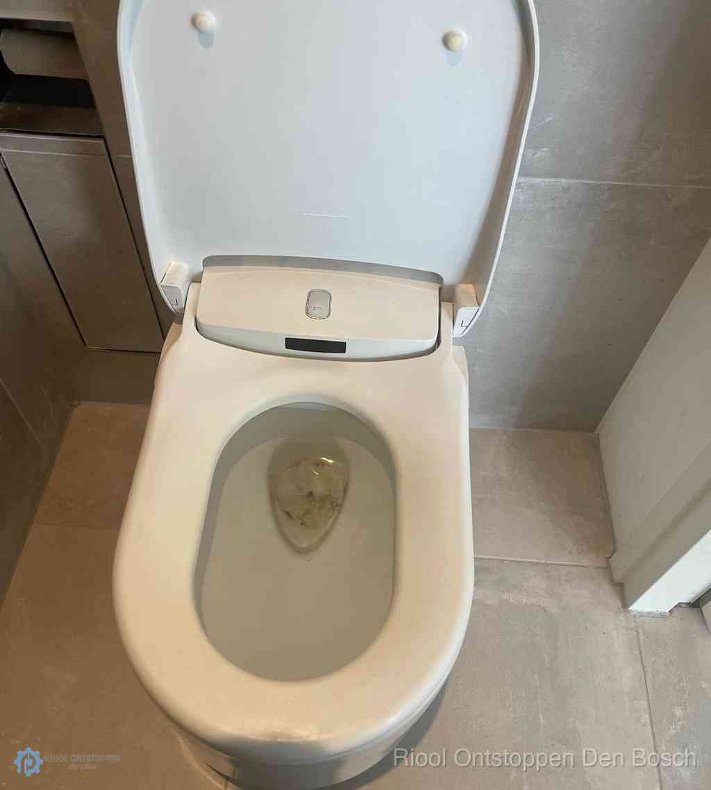Toilet Ontstoppen Den Bosch